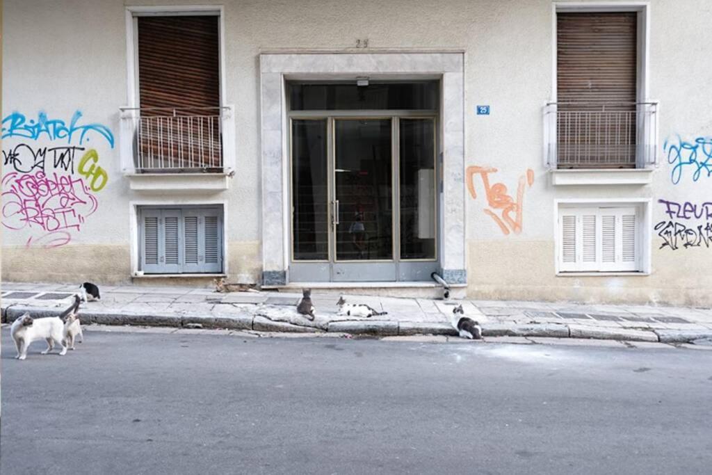 Charming Rooftop Nest With Awesome Acropolis View Downtown Athens Luaran gambar